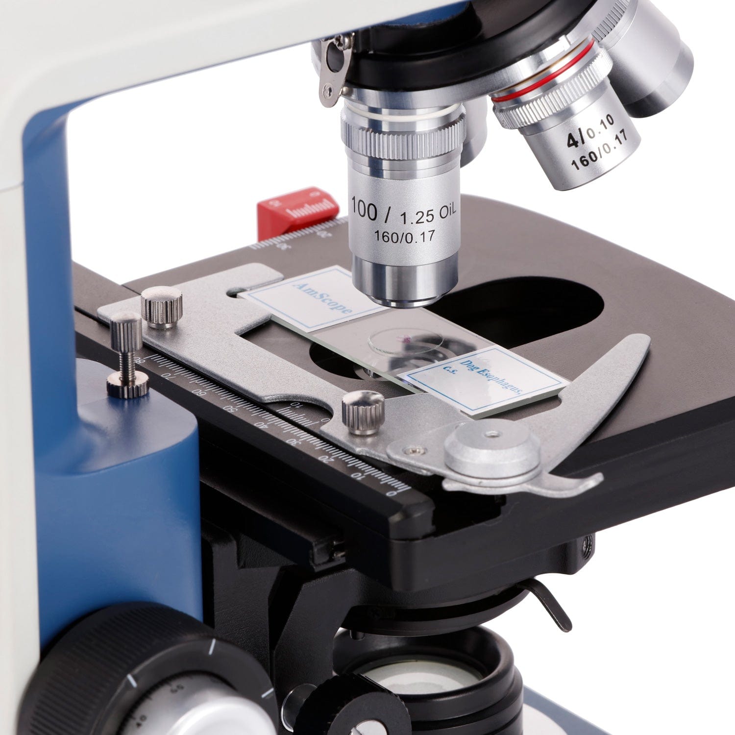 AmScope 40X-2500X 배율 학생용 쌍안 복합 - Microscope Compound 40X 리뷰 및 가격